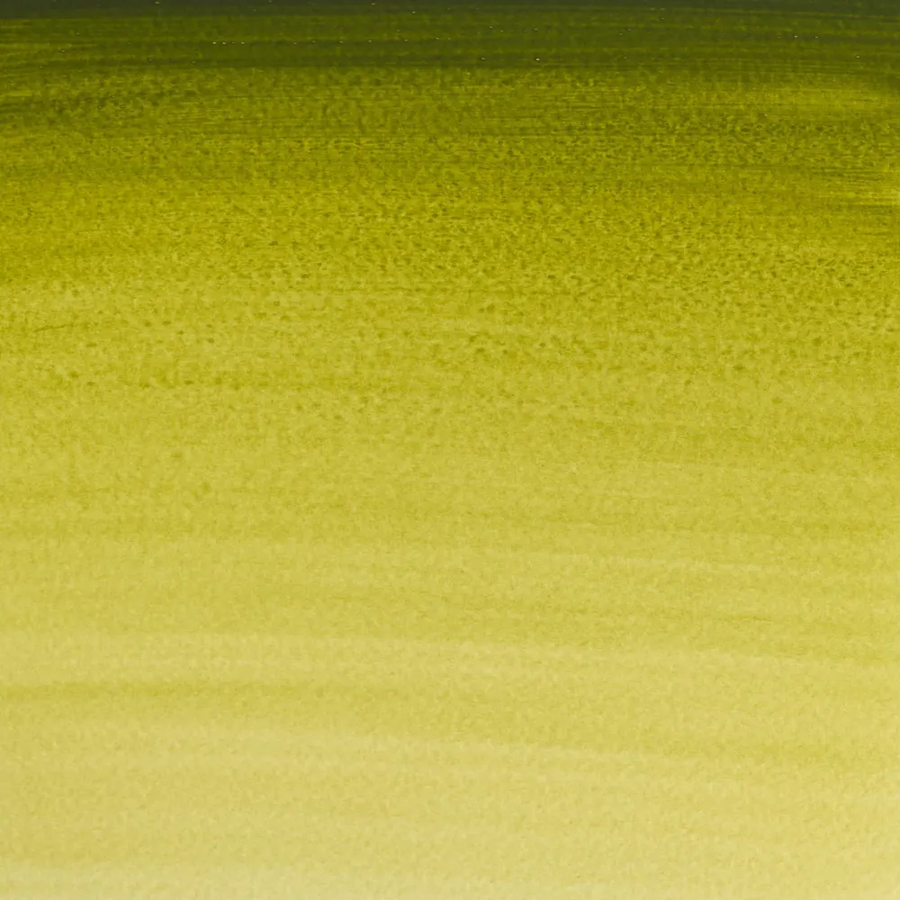 Winsor & Newton Farba akwarelowa Professional Watercolour - - Brown Ochre, 5 ml > Farby Akwarelowe
