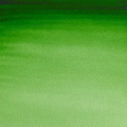 Winsor & Newton Farba akwarelowa Professional Watercolour - - Hooker's Green, 5 ml > Farby Akwarelowe