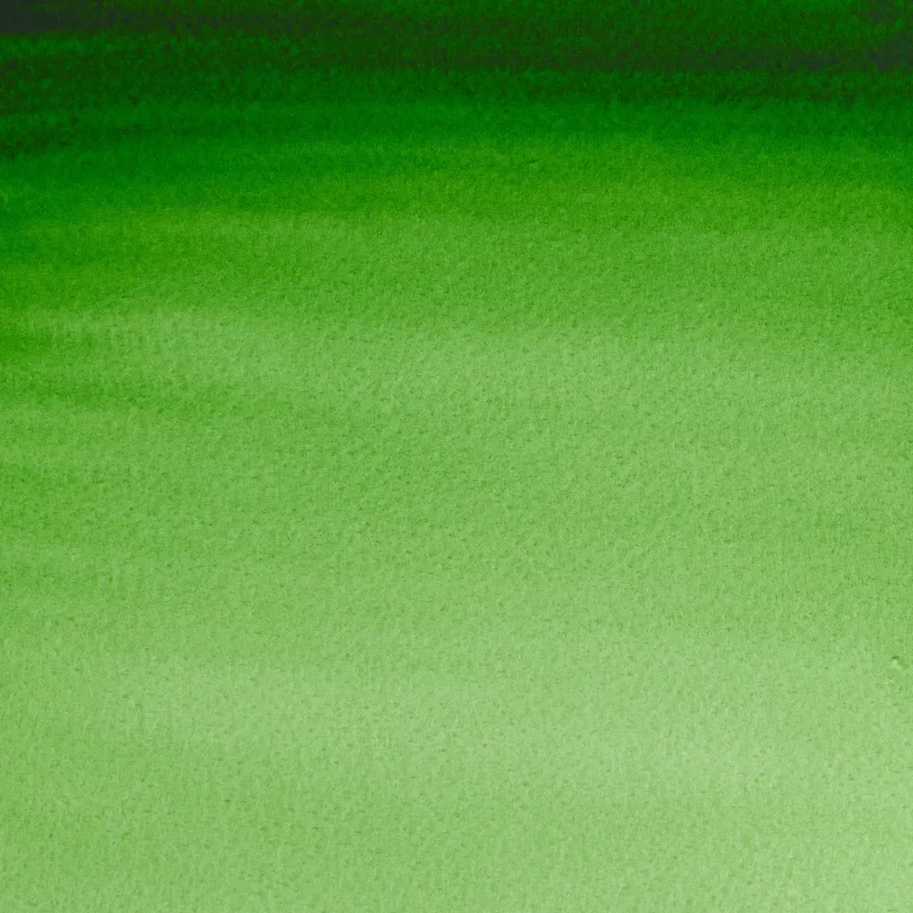 Winsor & Newton Farba akwarelowa Professional Watercolour - - Hooker's Green, 5 ml > Farby Akwarelowe