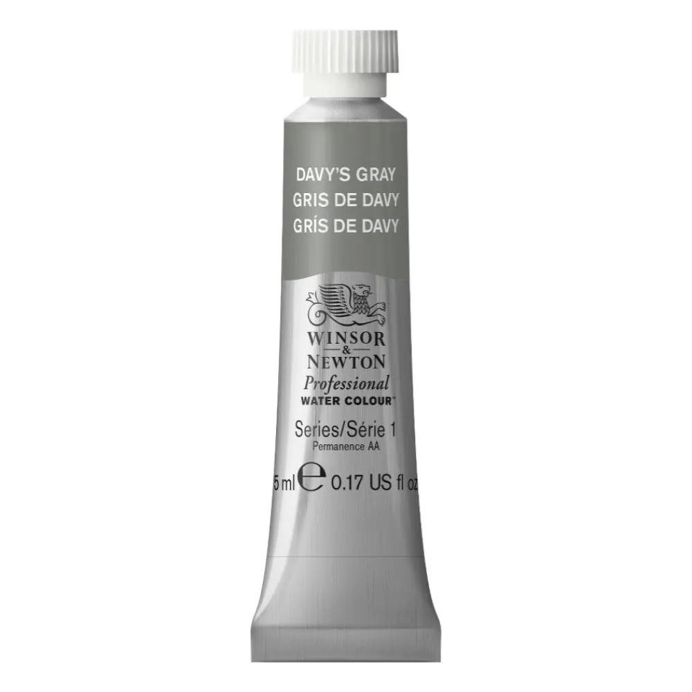 Winsor & Newton Farba akwarelowa Professional Watercolour - - Davy's Grey, 5 ml