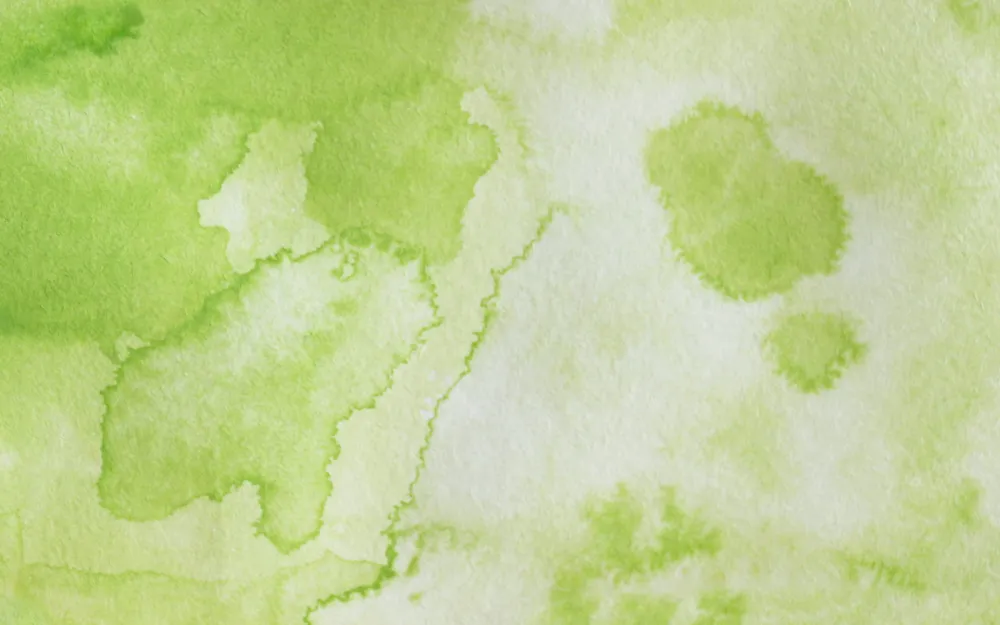 Kuretake Farba akwarelowa w kostce Gansai Tambi - - Pea Green