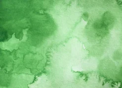 Kuretake Farba akwarelowa w kostce Gansai Tambi - - Ivy Green