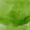 Kuretake Farba akwarelowa w kostce Gansai Tambi - - Sap Green Light
