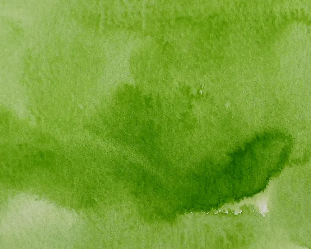 Kuretake Farba akwarelowa w kostce Gansai Tambi - - Sap Green Light