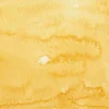 Kuretake Farba akwarelowa w kostce Gansai Tambi - - Cadmium Yellow > Farby Do Kaligrafii|Farby Akwarelowe