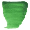 Van Gogh Farba akwarelowa w kostce - - 664 Permanent Green