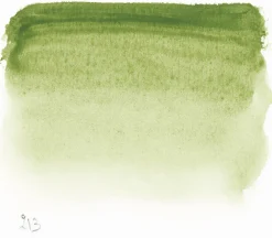 Sennelier Farba akwarelowa w półkostce l’Aquarelle - - 213 Green Earth