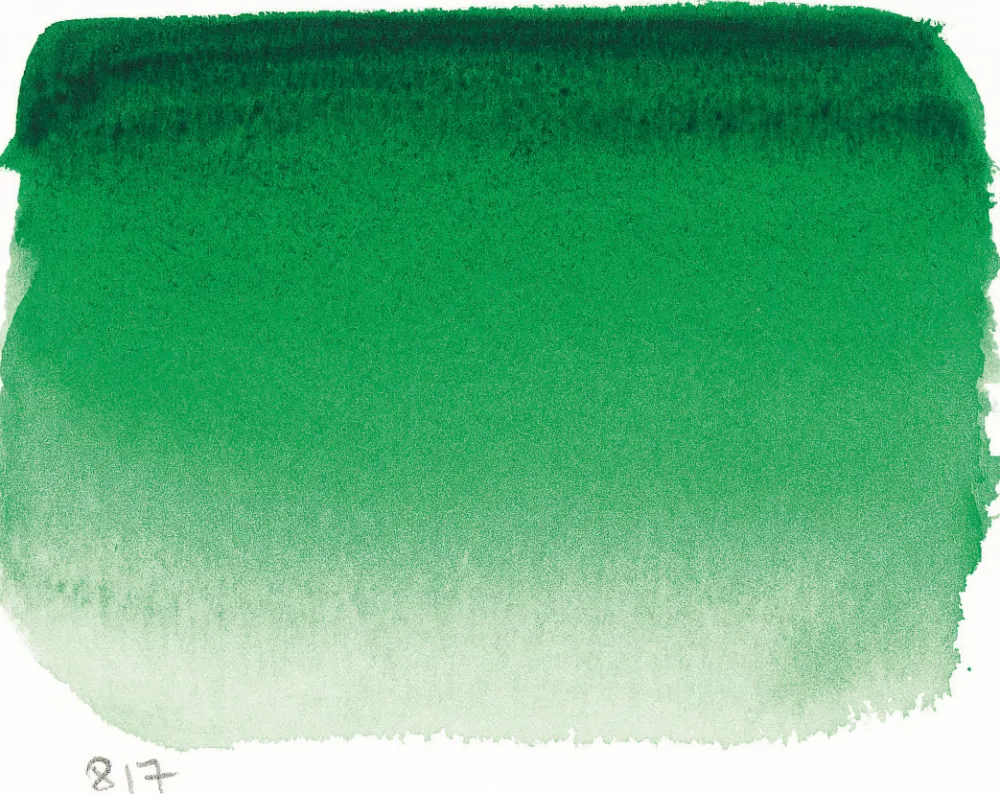 Sennelier Farba akwarelowa w półkostce l’Aquarelle - - 819, Sap Green > Farby Akwarelowe