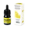 Renesans Farba akwarelowa w płynie Liquarel - - Sap Green 30 ml > Farby Akwarelowe