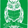 Schmincke Farba Aqua Linoprint - - 520, Permanent Green, 35 ml