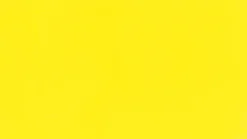 Schmincke Farba College Linoprint - - 200, Yellow, 75 ml