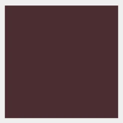 Talens Farba gwasz Gouache Extra Fine - - Burnt Umber, 50 ml
