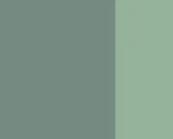 Lefranc & Bourgeois Farba gwasz Linel - - Lichen Grey 14 ml > Farby Gwasze I Tempery