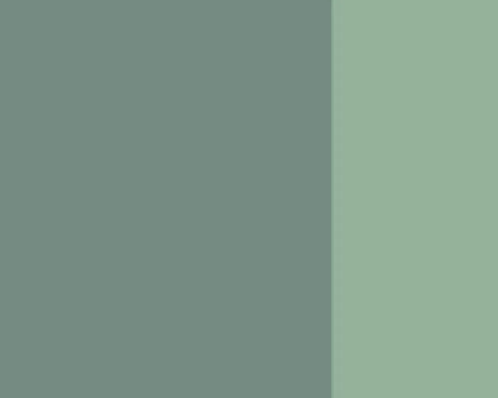 Lefranc & Bourgeois Farba gwasz Linel - - Neutral Grey 14 ml