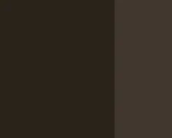 Lefranc & Bourgeois Farba gwasz Linel - - Raw Umber 14 ml
