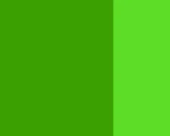 Lefranc & Bourgeois Farba gwasz Linel - - Olive Green 14 ml > Farby Gwasze I Tempery