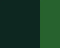 Lefranc & Bourgeois Farba gwasz Linel - - Chrome Oxyde Green 14 ml > Farby Gwasze I Tempery