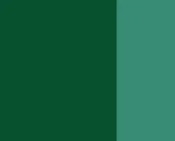 Lefranc & Bourgeois Farba gwasz Linel - - Cobalt Green Deep 14 ml