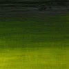 Winsor & Newton Farba olejna Artists' Oil Colour - - Winsor Green Yellow Shade, 37 ml > Farby Olejne