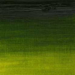 Winsor & Newton Farba olejna Artists' Oil Colour - - Sap Green, 37 ml
