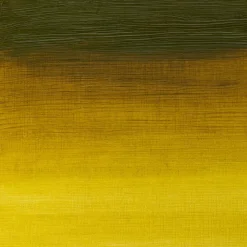 Winsor & Newton Farba olejna Artists' Oil Colour - - Green Gold, 37 ml > Farby Olejne