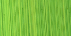 Michael Harding Farba olejna - - 116, Bright Green Lake, 40 ml