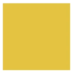 Rembrandt Farba olejna - - Cadmium Yellow Light, 40 ml > Farby Olejne