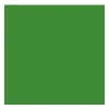 Rembrandt Farba olejna - - Cinnabar Green Medium, 40 ml