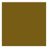 Rembrandt Farba olejna - - Greenish Umber, 40 ml > Farby Olejne