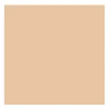 Rembrandt Farba olejna - - Naples Yellow Red, 40 ml > Farby Olejne