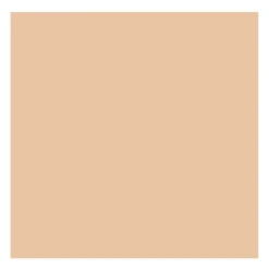 Rembrandt Farba olejna - - Naples Yellow Red, 40 ml > Farby Olejne