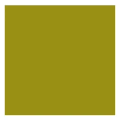 Rembrandt Farba olejna - - Olive Green, 40 ml