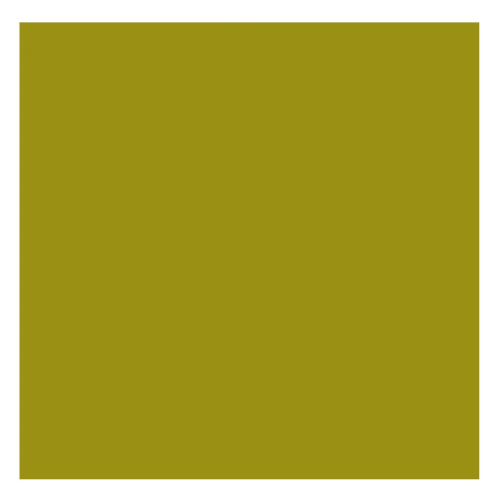 Rembrandt Farba olejna - - Olive Green, 40 ml