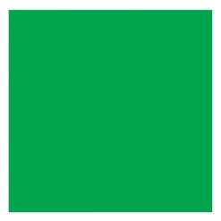 Rembrandt Farba olejna - - Permanent Green Medium, 40 ml > Farby Olejne