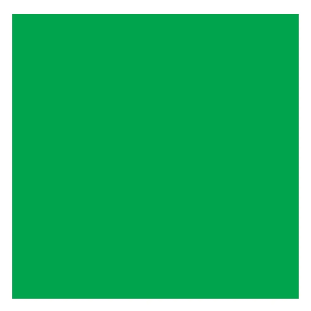 Rembrandt Farba olejna - - Permanent Green Medium, 40 ml > Farby Olejne