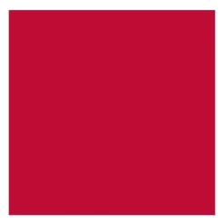 Rembrandt Farba olejna - - Permanent Red Purple, 40 ml