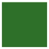 Rembrandt Farba olejna - - Sap Green, 40 ml > Farby Olejne