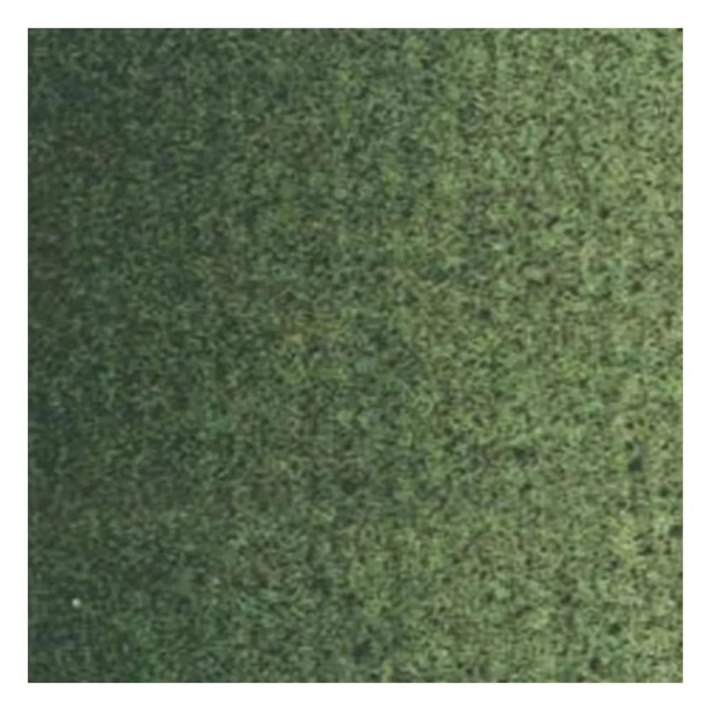 Van Gogh Farba olejna - - Green Earth, 40 ml > Farby Olejne