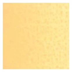 Van Gogh Farba olejna - - Naples Yellow Red, 200 ml > Farby Olejne