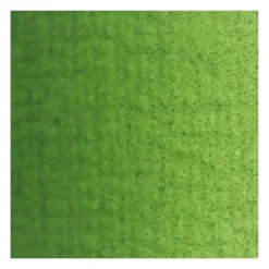 Van Gogh Farba olejna - - Sap Green, 40 ml