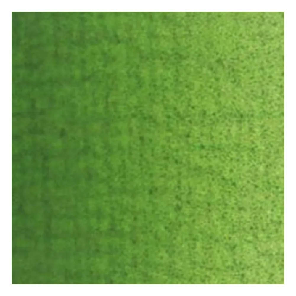 Van Gogh Farba olejna - - Sap Green, 40 ml