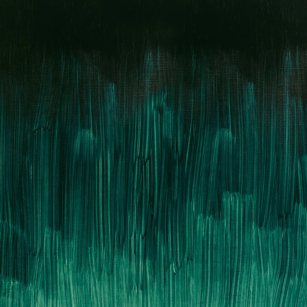 Winsor & Newton Farba olejna Winton Oil Colour - - Phthalo Deep Green, 37 ml > Farby Olejne