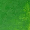 Winsor & Newton Farba olejna Winton Oil Colour - - Permanent Green Light, 37 ml