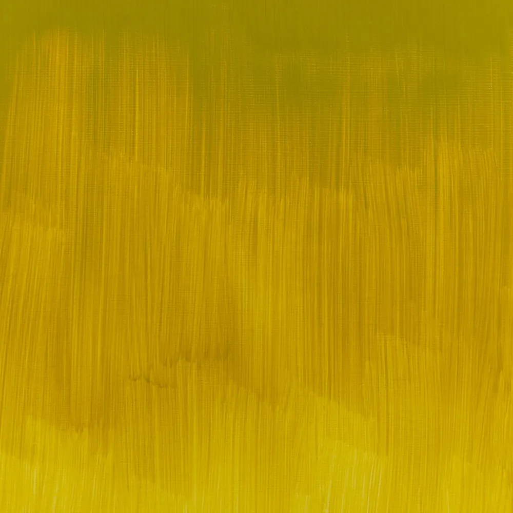Winsor & Newton Farba olejna Winton Oil Colour - - Azo Yellow Green, 200 ml