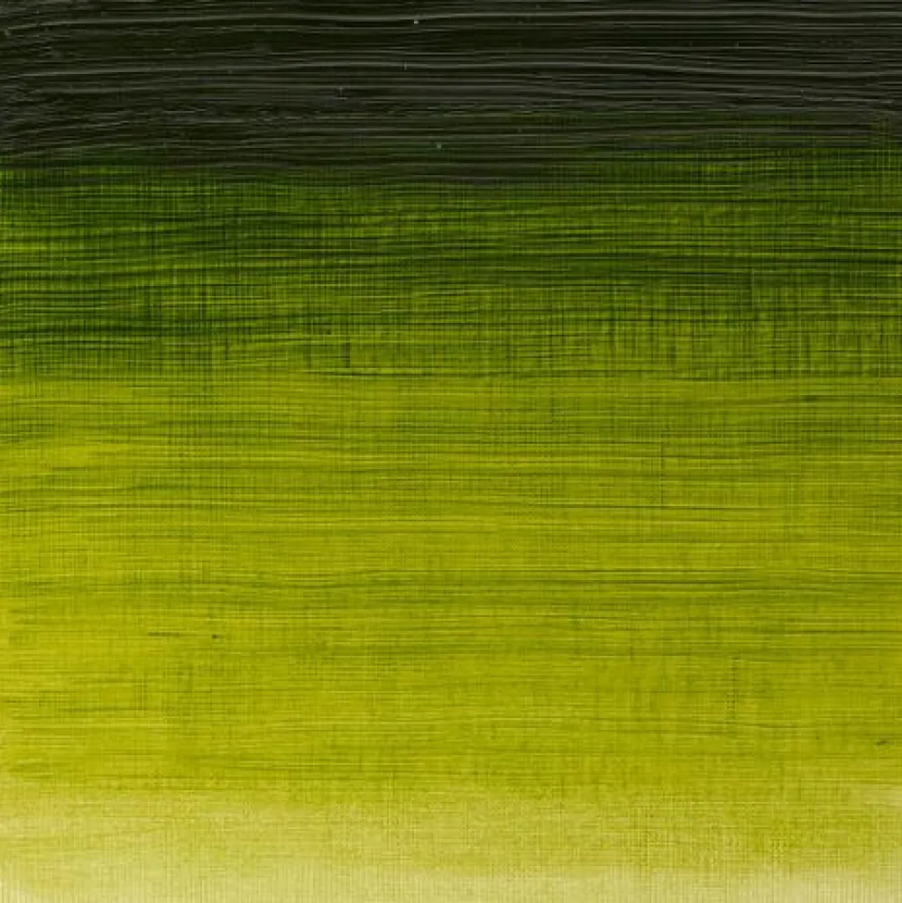 Winsor & Newton Farba olejna Winton Oil Colour - - sap green, 200 ml