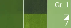Renesans Farba Tempera Cover - - 30, zieleń soczysta, 20 ml > Farby Gwasze I Tempery