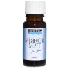 Pentart Farba w sprayu do szkła - - efekt lustra, 10 ml