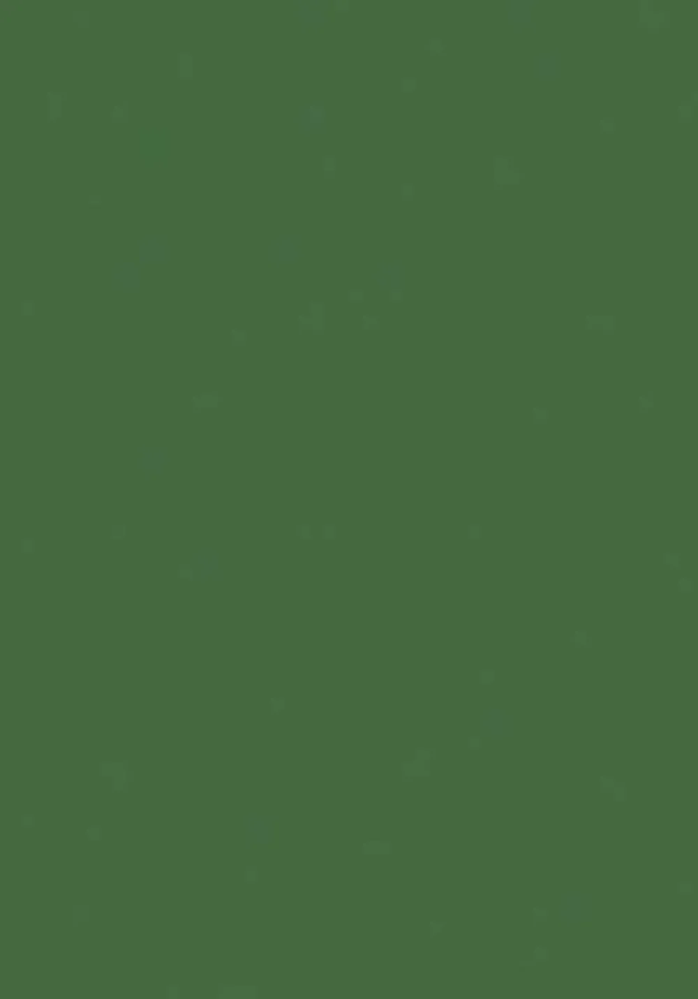 Knorr Prandell Filc ozdobny - - fir green, 20 x 30 cm