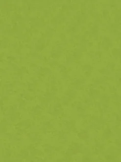 Knorr Prandell Filc ozdobny - - lime green, 20 x 30 cm > Filc Ozdobny