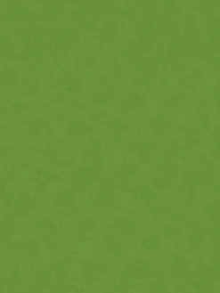 Knorr Prandell Filc ozdobny - - may green, 20 x 30 cm